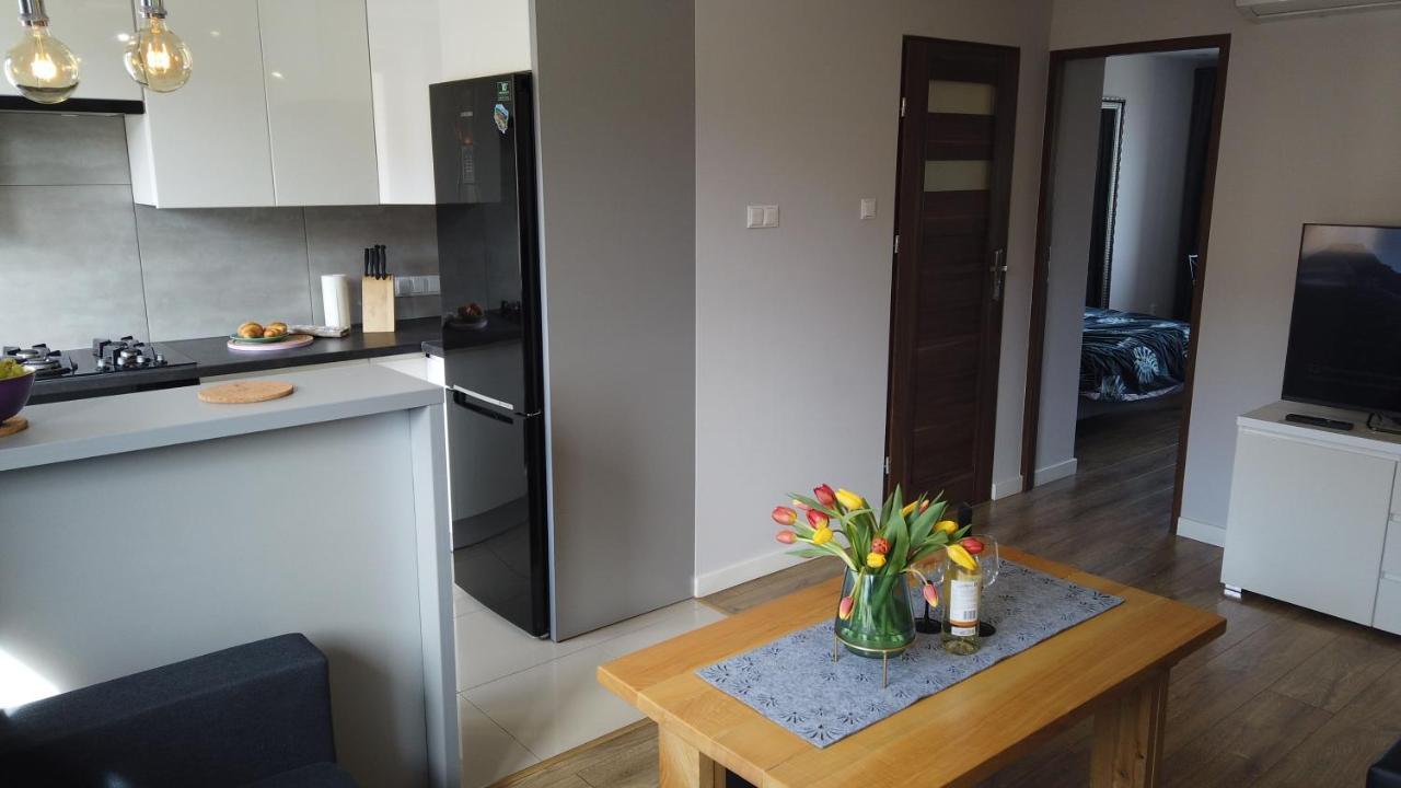 Apartament Bieszczady Διαμέρισμα Ustrzyki Dolne Εξωτερικό φωτογραφία
