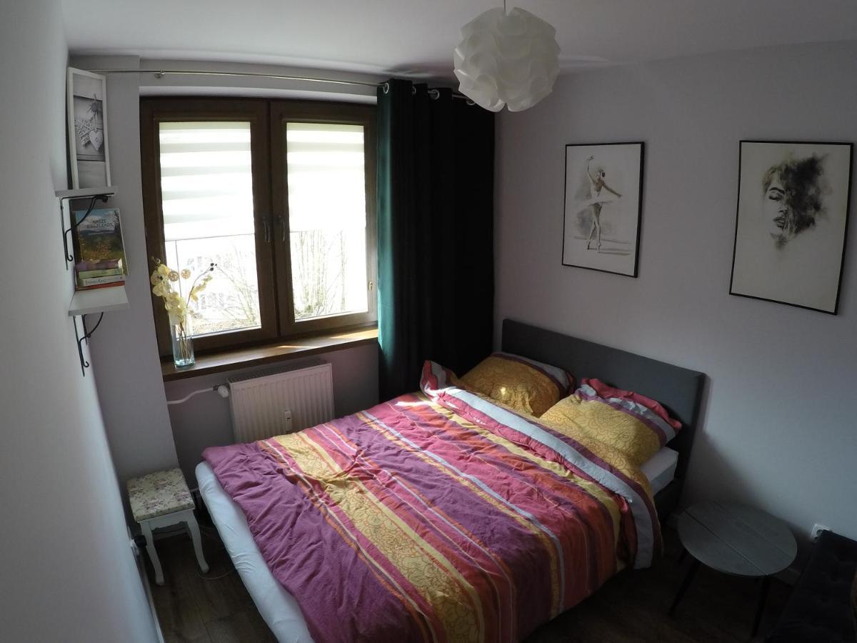 Apartament Bieszczady Διαμέρισμα Ustrzyki Dolne Εξωτερικό φωτογραφία